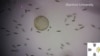 16x9 Image