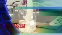 El Mundo al día