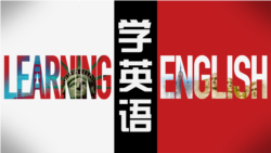 美国习惯用语 - follow suit