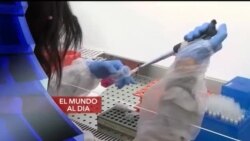 El Mundo al día