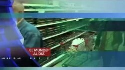 El Mundo al día