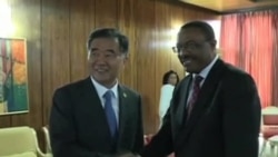 AU Leaders Discuss Mali, Chinese Investment